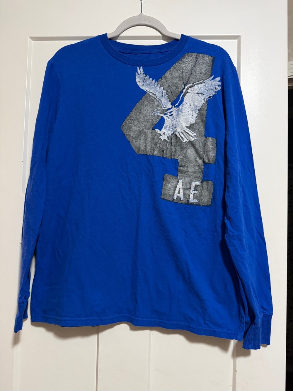 American Eagle Outfitters Royal Blue Long Sleeve Graphic Tee